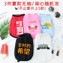 InnoPet小狗狗衣服夏季薄款泰迪猫咪博美比熊小型犬幼犬宠物无袖背心 「夏」三件无袖随机发 6号2XL(建议15-25斤背长43胸围62)