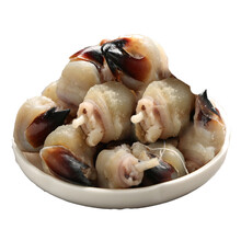 5折 舟山特产美食中大墨鱼嘴章鱼乌贼嘴目鱼嘴鱿鱼嘴海鲜水产干货500g