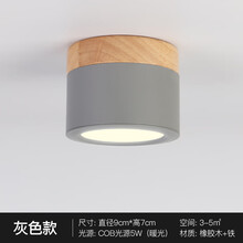 ARROW箭牌北欧吸顶灯创意现代简约走廊过道灯玄关门厅阳台灯试衣间铁艺灯具 灰色升级版暖光