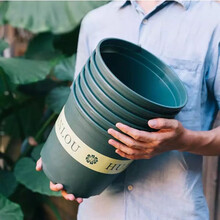 塑料花盆加厚批发特大号种花盆圆形绿萝加仑盆树脂含托盘特价 清正园艺 0.5加仑绿色【口径12cm】 含盆拖