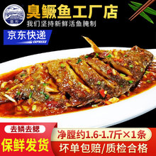徽埠（huibu）正宗徽州臭鳜鱼鲑鱼安徽黄山特产活鱼腌制桂鱼净膛生鲜1.6斤称重