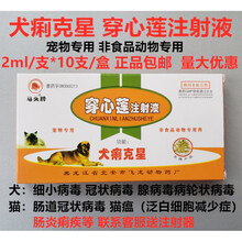 北安马头牌犬痢克星穿心莲注射液狗细小病毒冠状病毒便血猫瘟
