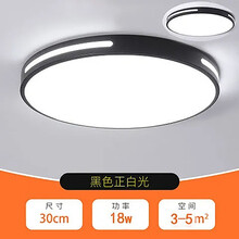 国际电工 全屋灯具套餐组合三室两厅LED吸顶灯客厅灯房间卧室灯黑边灯饰 30CM圆形白光-18W
