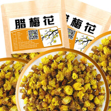 栢晟 腊梅花茶 蜡梅花浓香型腊梅花干花泡茶泡水散装 腊梅花 100g
