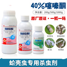 农药40%噻嗪酮果树柑橘蚧壳虫专用农药杀虫剂多肉植物介壳虫专用药 200g