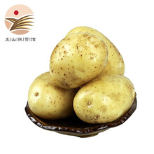 现挖现发新鲜土豆高山马铃薯农家自种新鲜蔬菜食材 黄心洋芋3斤装龙山本地鲜土豆 5斤新鲜土豆