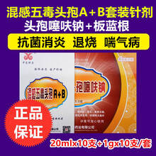 兽药注射用头孢噻呋钠兽用牛羊猪用高烧高热混感退烧粉针