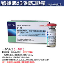 猪用科前科腹净科泻宁传染性胃肠炎疫苗流行性腹泻灭活苗轮状病毒 齐鲁腹泻二联1瓶价21年12月3到期