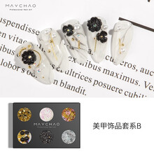 美潮美甲饰品新款美甲亮片闪粉超闪镭射粉网红款贝壳玻璃纸指甲装饰女 美甲饰品套系B