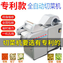 甄樽  切菜机商用电动食堂用多功能切小米椒机酸菜切丝机大头菜切丝机切茶叶机桑叶切丁机芥菜切段机豆腐 1000型有机头+350型土豆去皮机