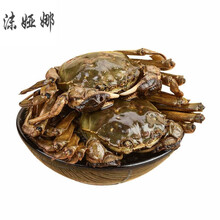 【全母蟹】大醉河蟹 醉毛蟹 大闸蟹醉蟹 肥醉蟹 酱毛蟹