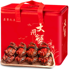 【活蟹】苏蟹之王 大闸蟹 生鲜鲜活六月黄螃蟹现货礼盒 全母蟹2.0-2.3两 8只