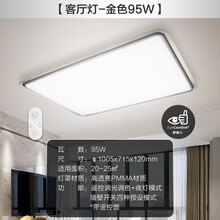 飞利浦led吸顶灯简约现代大气现代轻奢客厅灯幻镜金边框2020年新款创意卧室灯具 银色幻境95W方形含遥控器