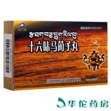 金珠雅砻 十六味马蔺子丸 0.4g*24丸 16盒装
