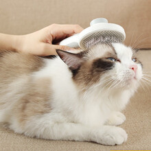 double  yellow 猫用品 开结梳