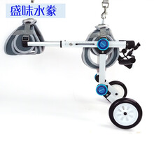 狗轮椅狗狗后腿残疾助力车狗轮椅后肢瘫痪康复小型犬代步残疾车猫辅助泰迪宠物狗狗后腿支架 XXS白色标准款 含车子+工具盒