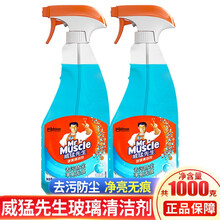 威猛先生（Mr Muscle）玻璃清洁剂家用浴室淋浴房去污渍污垢玻璃水擦玻璃水玻璃清洁液清洗剂洁净液 2瓶
