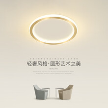 若朗阳台吸顶灯简约现代门厅入户玄关灯具北欧创意圆形客厅过道走廊灯 金色 25*6CM 三色变光 22W