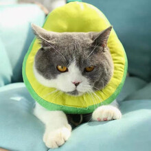 可调节伊丽莎白项圈 猫咪狗狗吐司面包项圈牛油果草莓柠檬小型犬宠物防舔圈绝育猫脖圈防抓咬 牛油果(可调节)