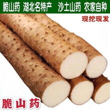 脆山药 菜山药 山药新鲜 淮山药 粗山药 大山药 山药 3斤装脆山药