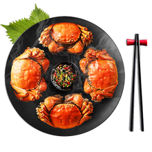 【活蟹】蟹宗大闸蟹 鲜活螃蟹现货生鲜礼盒 六月黄 2.6-3.0两 8只公母随机