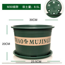 新款二代矮胖加仑花盆塑料绿萝月季多肉大口径加厚加仑盆GN M30【盆+托3个装】 大