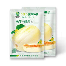 中科茂华瓜果种子茂华甜美甜瓜种子东北杂交金妃香瓜种子椭圆白肉红瓤50粒