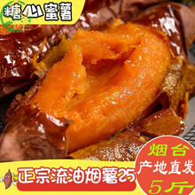 正宗烟薯25号烟台农科院蜜薯番薯红薯糖心稀瓤流油新鲜原产地直销 4500g