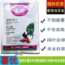 草忧愁 薯优 红薯田专用除草剂移栽田禾阔双除尖叶圆叶草牛筋狗尾草红薯苗后精喹禾灵带苗喷除草灭草药农资 45克*100套