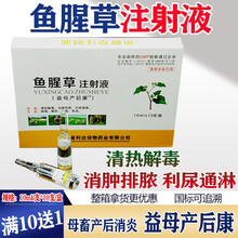 鱼腥草注射液兽药兽用消炎针剂牛羊犬猫药猪用清热解毒利尿益母产后康 10ml/支*10支/盒 整箱价【40盒/箱】发48盒