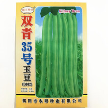 揭美38号玉豆种子 四季豆种子架豆刀豆 春秋播种高产豆角种子 揭丰双青35号玉豆 原厂包装25克