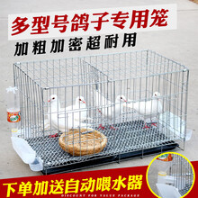 鸽子笼子鸽子配对笼养殖笼大号鸽子笼家用鸟笼鸽子用品 带隔断80*40*47托盘食具脚垫草窝