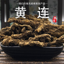 墨源 黄连250克 四川鸡爪黄连黄连片黄莲非野生中药材茶泡水可免费磨黄连粉