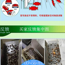 箱居 家用灭鼠神器10张强力粘鼠板老鼠贴捕鼠器克星捉抓沾老鼠板胶夹子 蟑螂屋2盒(10张/盒）