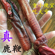 鹿灵子鹿鞭种鹿鞭鹿鞭泡酒整枝干鹿鞭160g吉林鹿鞭