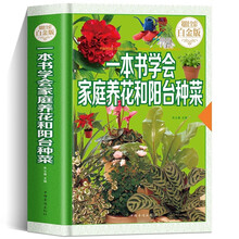 白菜菠菜黄瓜西红柿大葱辣椒茄子等 绿色蔬菜瓜果种植技术大全书籍 家庭阳台盆景蔬菜种植技术