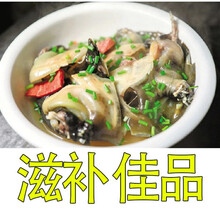 公雄大甲鱼鲜活活体食用团鱼鲜活王八中华鳖批发营养老鳖 【公甲鱼】2.2-2.5斤