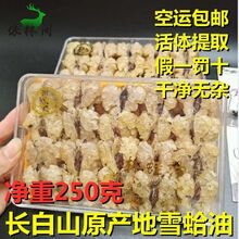 伟博50克雪蛤长白山雪蛤油林蛙油雪蛤膏线油新货净油东北蛤蟆油块油 块油净重250克