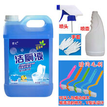 巧妇 洁厕灵洁厕液卫生间马桶清洁剂厕所清洁剂公厕清洁剂大桶装 10斤+喷头+手套+喷壶+毛刷