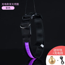 狗狗发光项圈刻字狗牌定制防丢夜间脖圈中小型犬宠物夜光遛狗灯 紫色 XS-超小型-围脖30-40cm(5-12斤)
