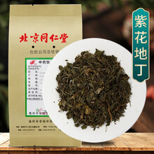 京皖 紫地花丁 中药饮片 按方抓药 10g