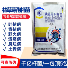 1000亿孢子/克枯草芽孢杆菌草莓白粉病灰霉病稻瘟病重茬杀菌剂 100g