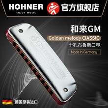 德国HOHNER和来Golden melody十孔10口琴GM布鲁斯蓝调成人口琴 D调