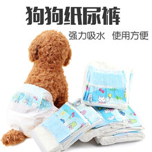母狗纸尿裤狗狗生理裤泰迪博美宠物用品小狗狗尿不湿卫生巾安全裤AITAPET 公狗XL