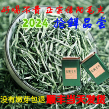 茗释春 信阳毛尖2024新茶茶叶绿茶明前云雾嫩芽浓香型  顺丰配送 信阳毛尖【保温杯】 250克 * 2袋