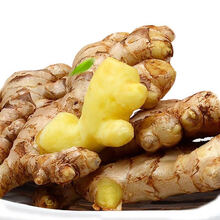 新鲜云南生态小黄姜生姜老姜批发嫩姜仔姜月子姜整箱现挖 精选整块装 5斤装(净重)