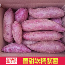 农家紫薯新鲜现货地瓜紫紫心紫薯农家自种5斤 小果