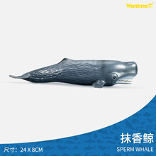 海洋动物仿真虎鲸鲨鱼章鱼海豚海龟螃蟹儿童塑胶模型玩具 抹香鲸