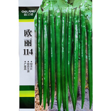 超长线椒种子高产辣椒籽春季盆栽蔬菜种孑农家四季早熟南方种孑 欧丽114原装1000粒