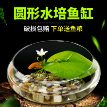 绿伴 桌面小鱼缸迷你小型鱼缸办公室创意圆形玻璃缸微型斗鱼缸金鱼缸 小号【一叶莲+玻璃缸+雨花石】